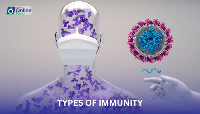 Lesson 11: Types of Immunity